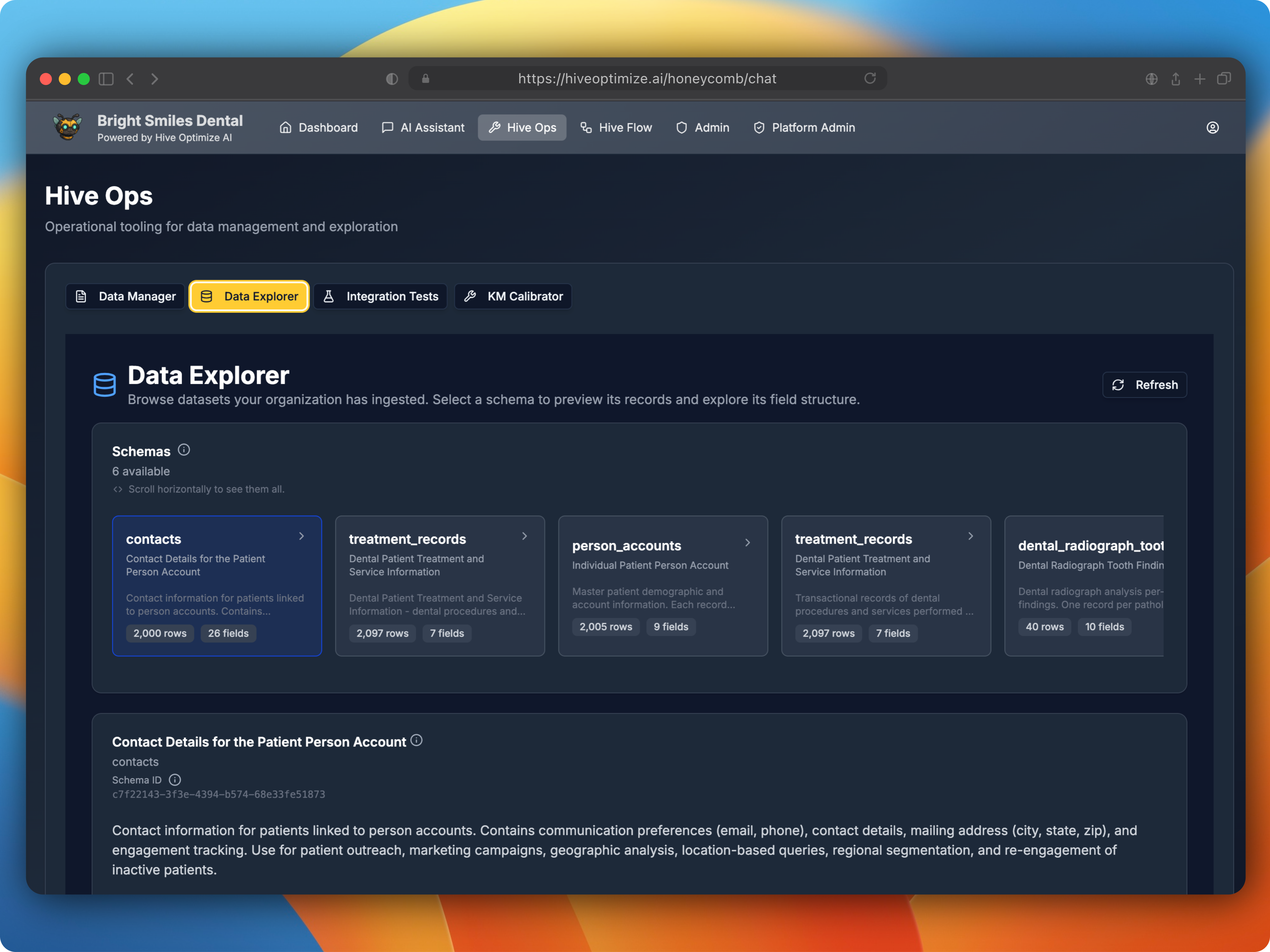 Data Explorer interface showing ingested business data schemas